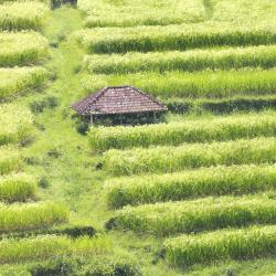 30 Best Tabanan Hotels Indonesia From 17