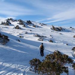 the 30 best snowy
