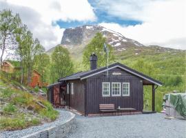 Tyin-Filefjell Skisenter: De beste hotellene og ...