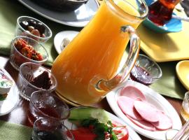 Apameia Hotel