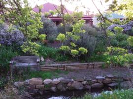 Frog Song at Willunga