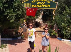 Telemenin Evi