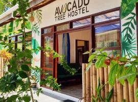 Avocado Tree Hostel