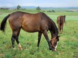 Wynnholme Stud Self Catering