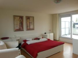 Blauwe gans homestay
