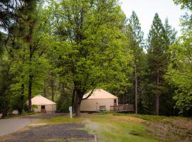 The Best Available Hotels Places To Stay Near Buck Meadows Ca Yosemite Lakes Hillside Yurt 3