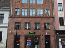 Historic Torun Central Rooms