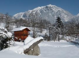 Chamonix petit chalet Cocooning