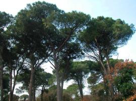 Ariston Vacanze