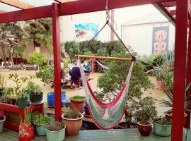 Bazil's Backpackers BBH Hostel & Surf Schoo