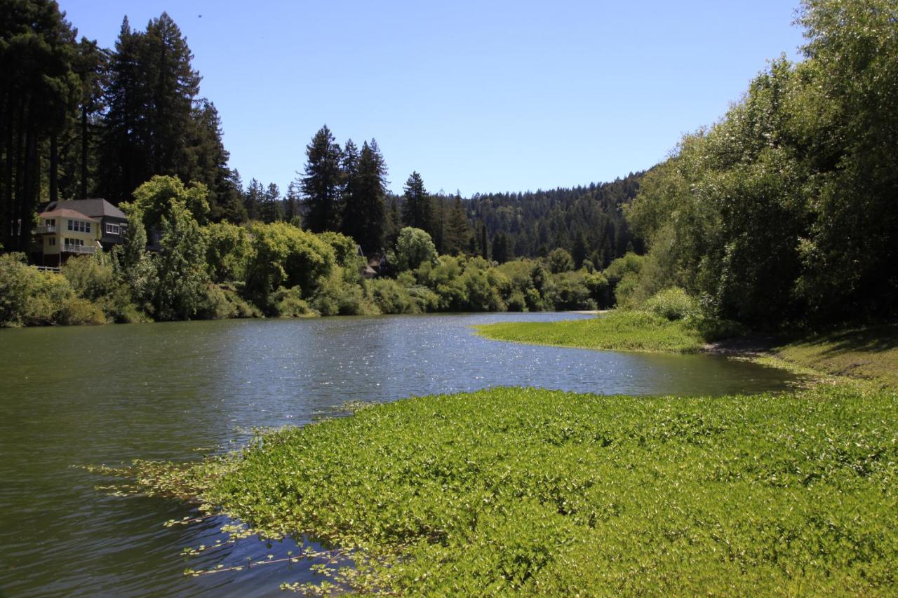 Две реки рядом. Russian River Valley.