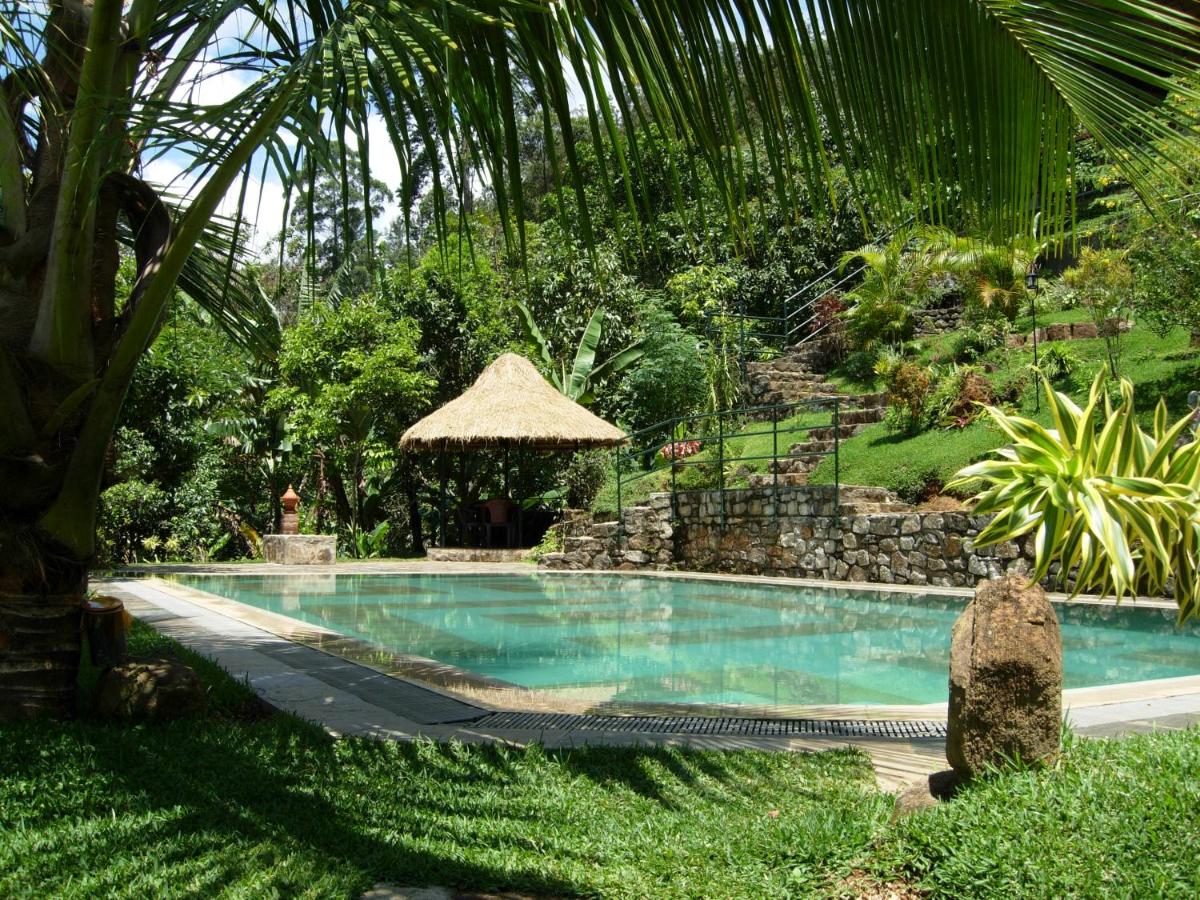 Виллы на шри ланке. Kumbuk River Resort, Шри-Ланка. Виллы на Шри Ланке с бассейном. Шри Ланка дом. Шри Ланка домики.