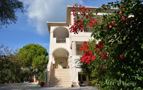I 10 migliori posti dove soggiornare a Città di Zante, Grecia ... I 10 migliori posti dove soggiornare a Città di Zante, Grecia ...