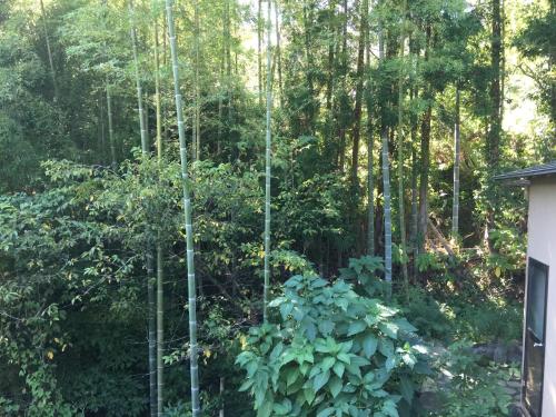 Bookingcom Hotels In Shimo Sagano Book Your Hotel Now - 