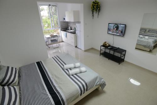 The 10 Best Beach Hotels In Haifa Israel Booking Reserve This Beach Hotel Description For A11y