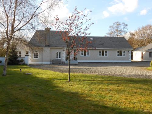 The 10 Best Wicklow County Pet Friendly Hotels That Accept Birchdale House B