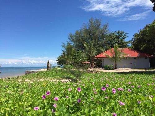 Homestay di Langkawi. 32 rumah untuk disewa di Langkawi 