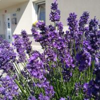 Mondina Guest House