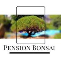 Penzion Bonsai