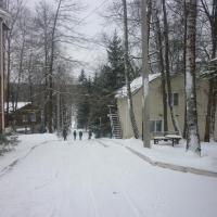 Oktava