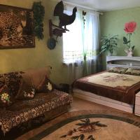 Apartment on Alexandrova 23
