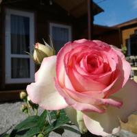 Happy Country House