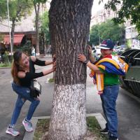CJ Hostel and Tours