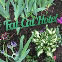 Fat Cat Airport