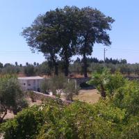 paradise in side