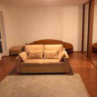 Spacious one-room apartment in a quiet environment