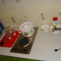 Apartment Novokosyno
