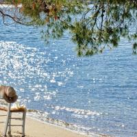 Xenia Poros Image Hotel
