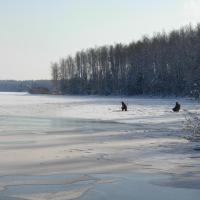 Городок отдыха «Лесная Дача»