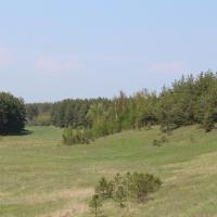 Guest House Nikolskie Gorki