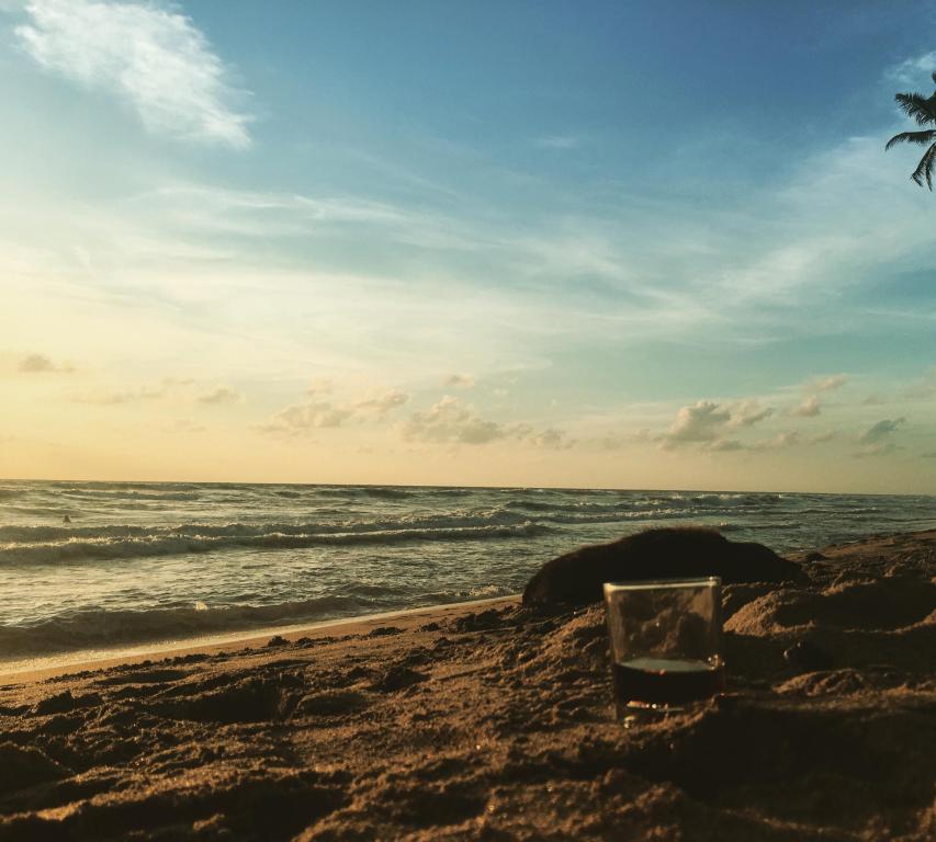 Hotel The Blue Water, Wadduwa, Sri Lanka