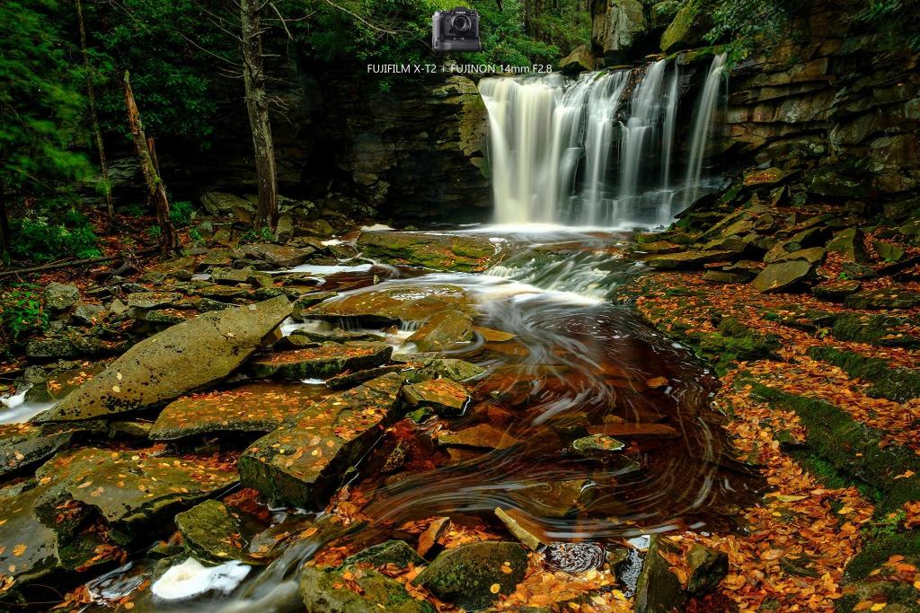 Blackwater Falls Lodge, Davis, WV - Booking.com