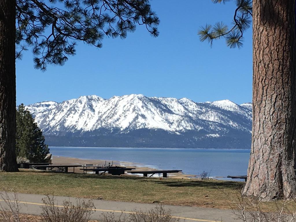Hotel The Beach Retreat Tahoe South Lake Ca Booking Gallery Image Of This Property