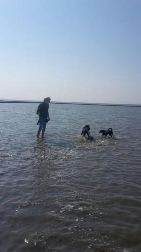 Nelli und Luna
