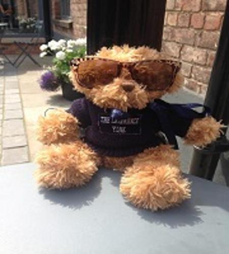 The Lawrance Ted