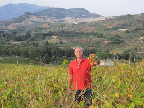 Andrea Ingraldo