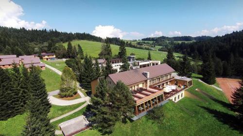 Orava