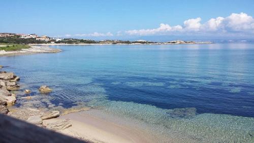 Capo testa