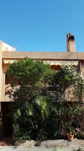 Apartment Pepito House Porto Conte Italy Booking Pepito House