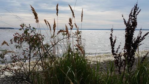 Unser Achterwasser