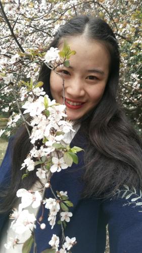 杨小姐