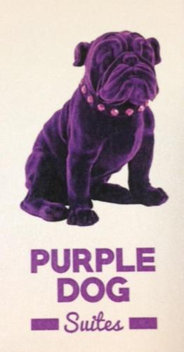 Purple Dog