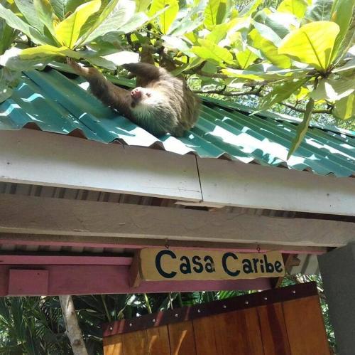 casa caribe