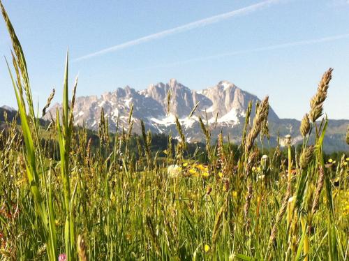 Wilder Kaiser