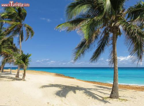 Spiaggia a 30 metri da Villa Morua.